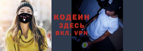 индика Покачи