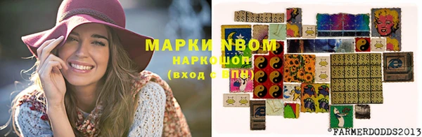 прущая мука Алзамай