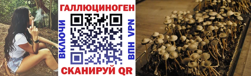 цены наркотик  Коркино  мега tor  Галлюциногенные грибы мицелий 